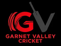 GV Cricket screenshot 1